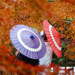 伝統儀式ならではの進行が厳かで新鮮