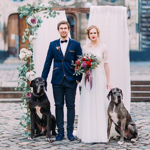 何匹まで?大型犬は?犬同伴結婚式のマナー、ルールについて