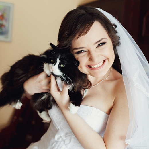 猫と一緒の結婚式はOK？