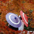 寺院や自宅で行う？仏前式の一般的な流れ 